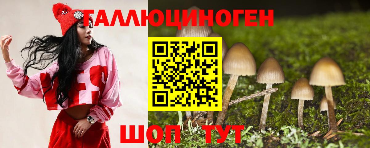 Галлюциногенные грибы MAGIC MUSHROOMS Александров