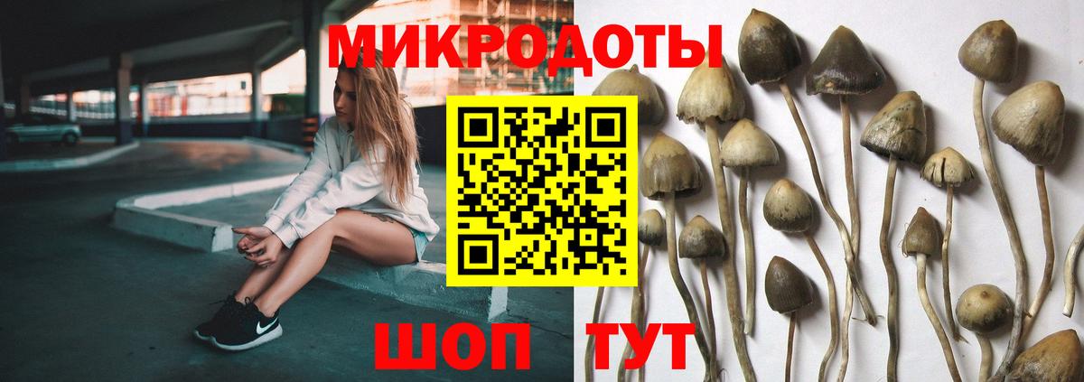 Александров  Псилоцибиновые грибы Psilocybine cubensis  Псилоцибиновые грибы мухоморы  Вход с VPN 